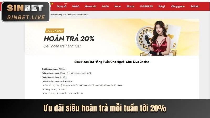Biểu đồ các loại cookie được sử dụng bởi 898bet link mới
